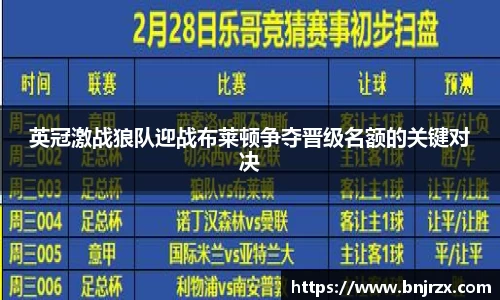 英冠激战狼队迎战布莱顿争夺晋级名额的关键对决